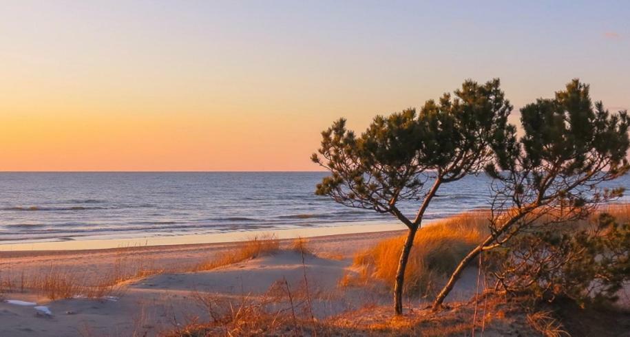 Apartamentai Salia Baseino Palanga Luaran gambar